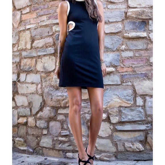 🔥 Eva Franco NWT Anthropologie 4 dress - Picture 3 of 10